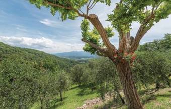 Montecatino