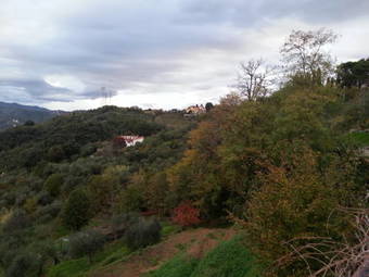 Gli Aceri B&B