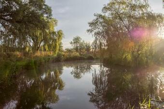 Sleeps-6 Lakeside Bell Tent - Suffolk