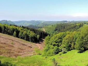 En Pleine Nature