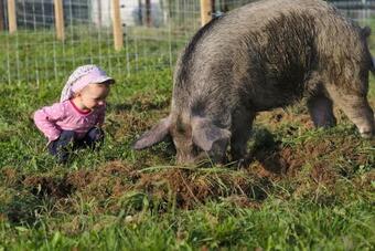 Bed & Breakfast Bio-bauernhof Wilfling