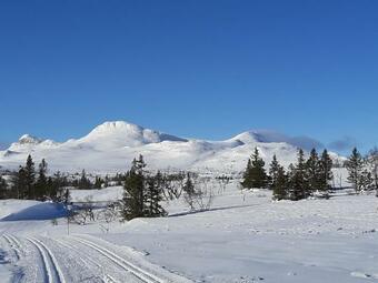 Gamlestugu Greivjord Fjellgard