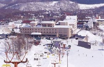 Hotel Niseko Alpen