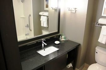 Holiday Inn Hotel & Suites Pointe-claire Montreal Airport