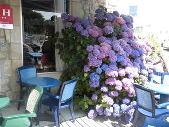 Hotel Le Marin