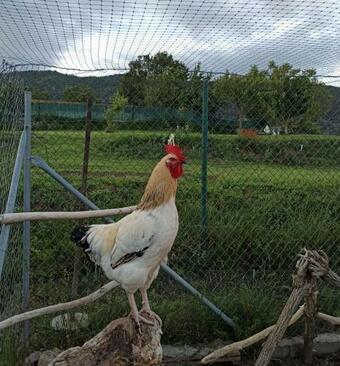 Alojamiento Compartido Cantroncxic