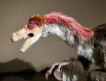 Ver fotos