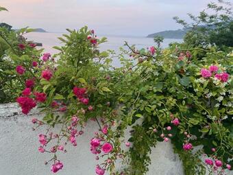 Villa Mundaka Beachfront House