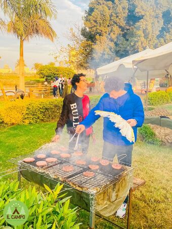 Ver fotos