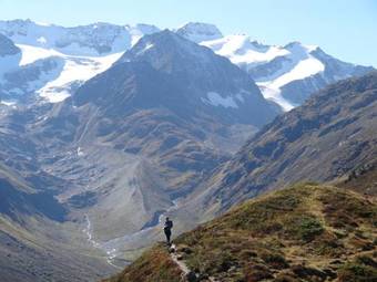 Ver fotos