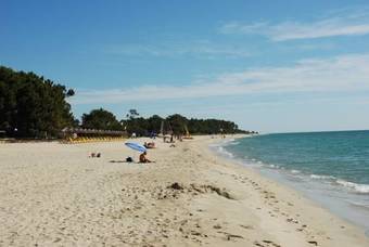 Vignale Resort