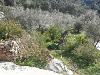 Casa Andalouse B&B