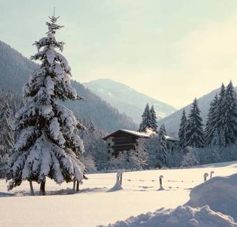 Hostal Gasthaus Steinberg