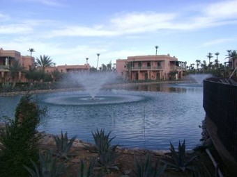 Hotel Palmeraie
