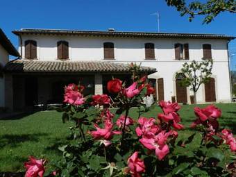 B&B Mammarosa