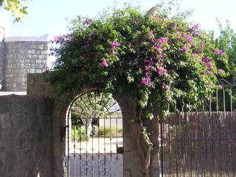 Apartamento Casa Ischia