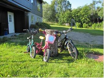Midt I Lofoten