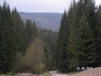 Dom W Beskidach