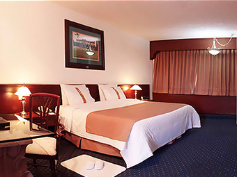 Hotel Holiday Inn San Luis Potosi-quijote