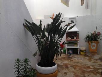 Casinha Da Aldeia