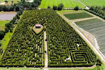Agroturismo Redberry Farm