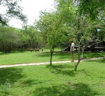Villa Thornwood
