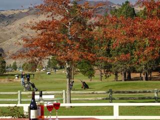 Lake Dunstan Motel