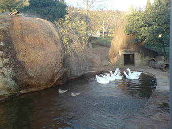 Agroturismo Lalisea