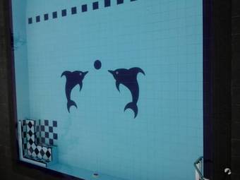 Ver fotos