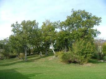 Agroturismo Country House "locanda Le Querce"