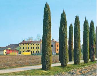 Hostal Bb Mambrotta