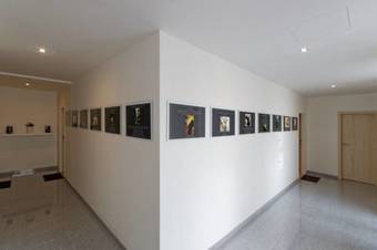 Ver fotos