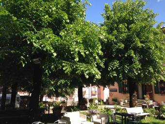 Hotel Fabbrini