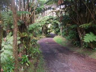 Bed & Breakfast Aloha Crater Lodge And Lava Tube Tours