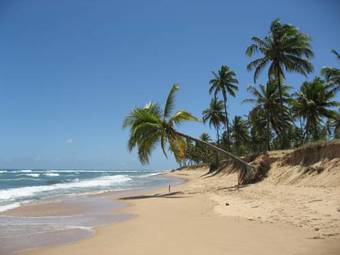 Apartamento Paribahia