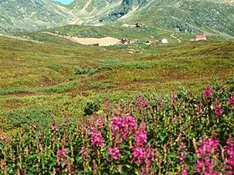 Hatcher Pass Bed & Breakfast