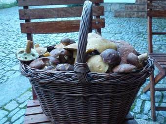 Hostal Penzion ?as