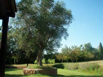 Agroturismo Agriturismo Podere Sant' Antonio