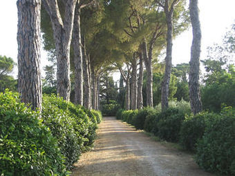 Agroturismo Agriturismo Il Parco Di Kipo