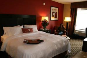 Hotel Hampton Inn And Suites Houston Clear Lake Nasa