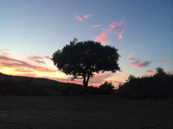 Agroturismo Agriturismo La Vita � Bella