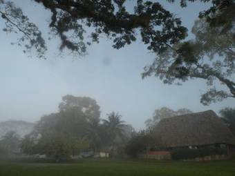Hotel Banana Bank Lodge & Jungle Horseback Adventures