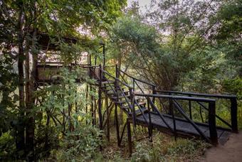 Hotel Tree House Hideaway