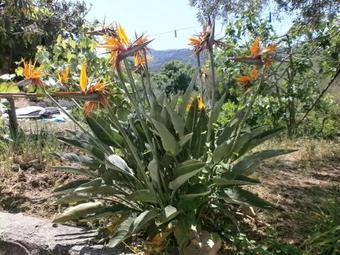 Apartamento Casa Vacanze Campagna&mare