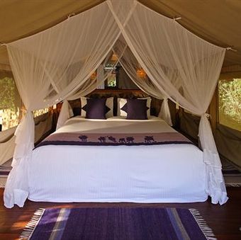 Posada Sarova Mara Game Camp
