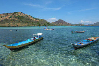 Hotel Capa Maumere