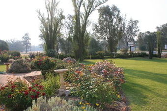 Newell Motor Inn - Narrandera