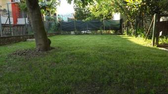 B&B Gallo
