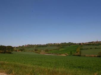 Cozzano