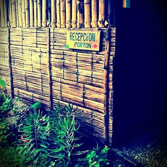 The Mudhouse Hostel